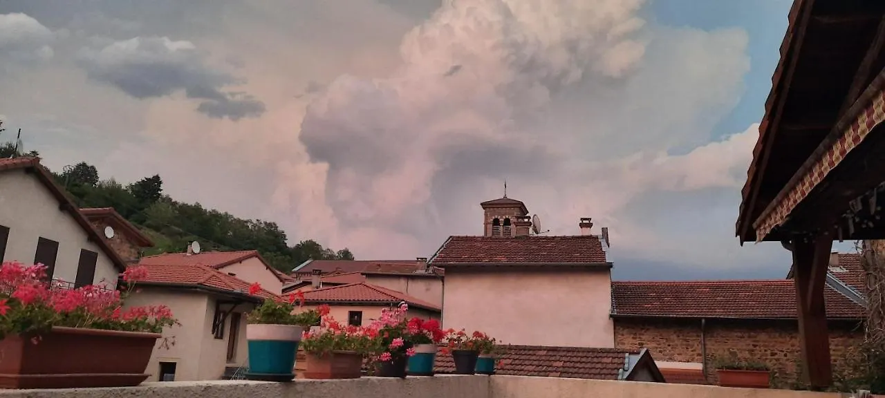 Hôtel Restaurant Le Saint Clément Saint-Clement-sur-Valsonne